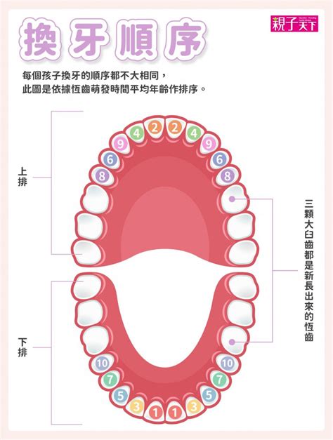 換牙